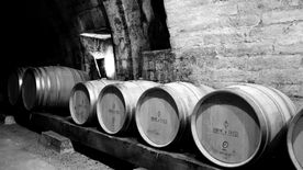barriques nb