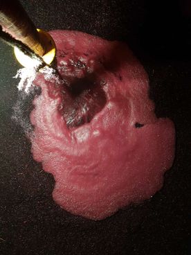 création de vin 