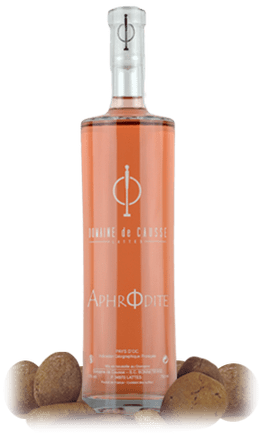 APHRODITE ROSE